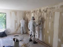 Best Environmental Consulting for Mold Prevention  in Offutt Af, NE